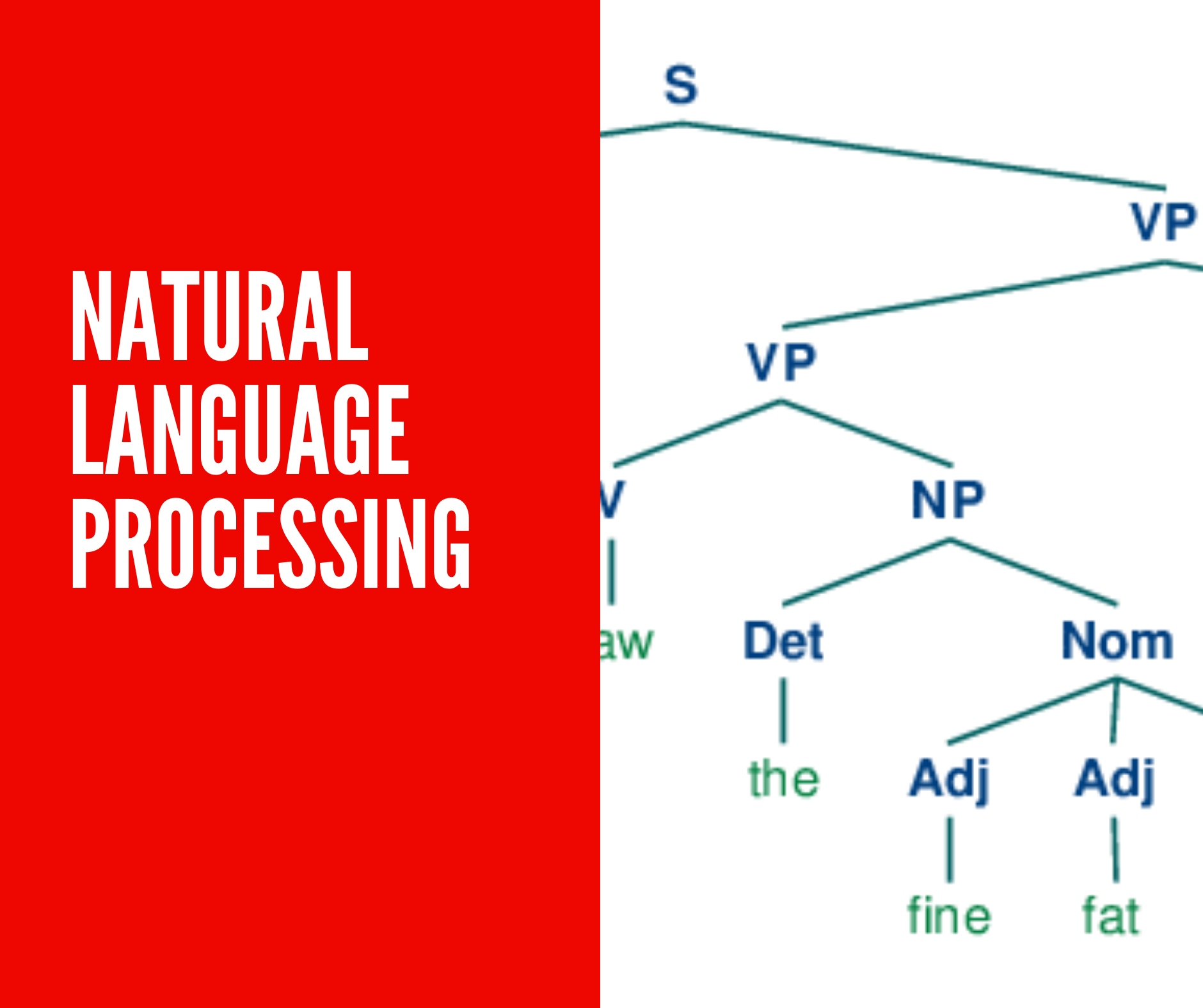 Natural Language Processing