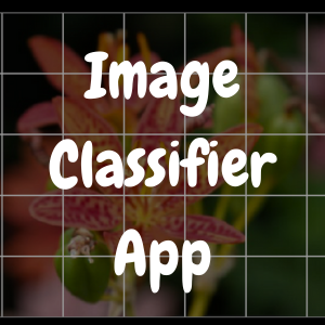 Image Classifier