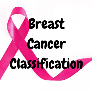 breast cancer classifier