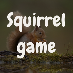 squirrel Game